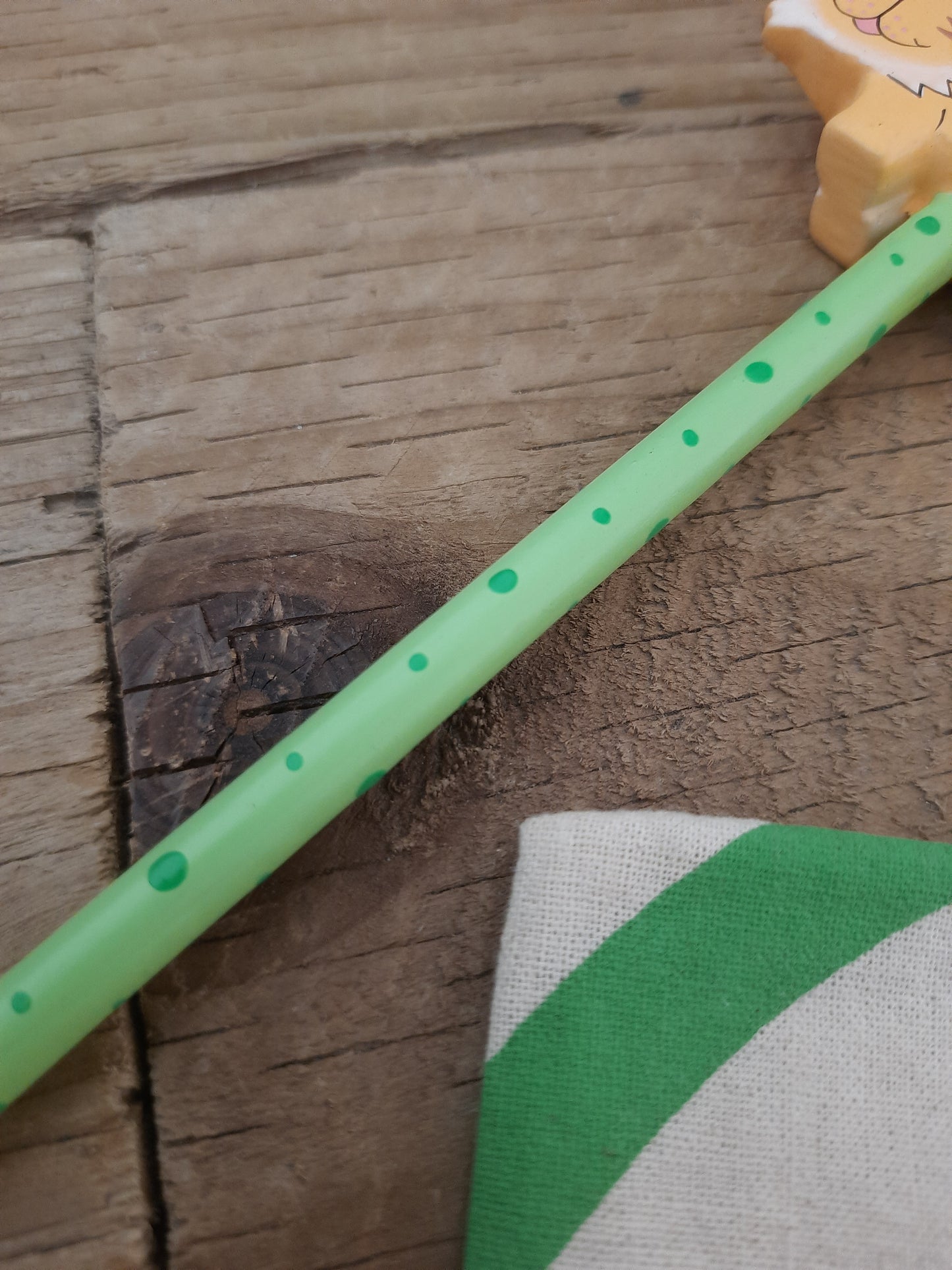 Cute Fancy Pencil - Hand Painted Lion