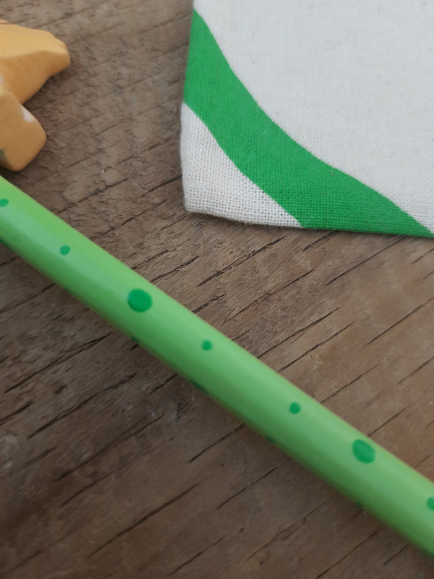 Cute Fancy Pencil - Hand Painted Lion